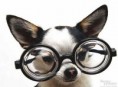 /album/fotogaleria/perro-tonto-jpg/