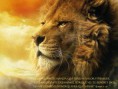 /album/fotogaleria/aslan-and-bible-2302-1024x768-jpg/